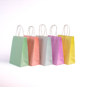 A5 Paper Gift Bag With Straw Handle - 12 Bags